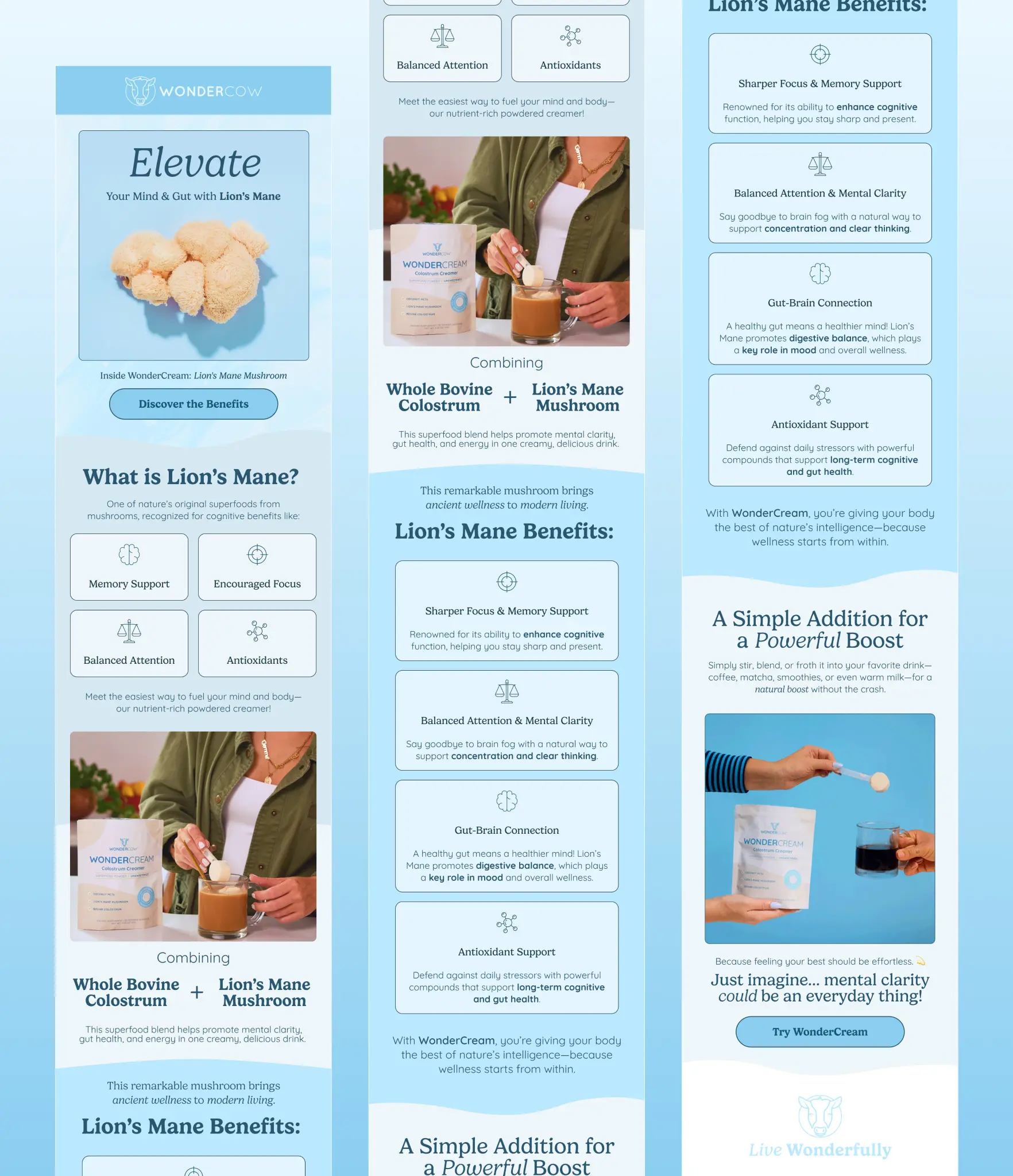 Email design example 11