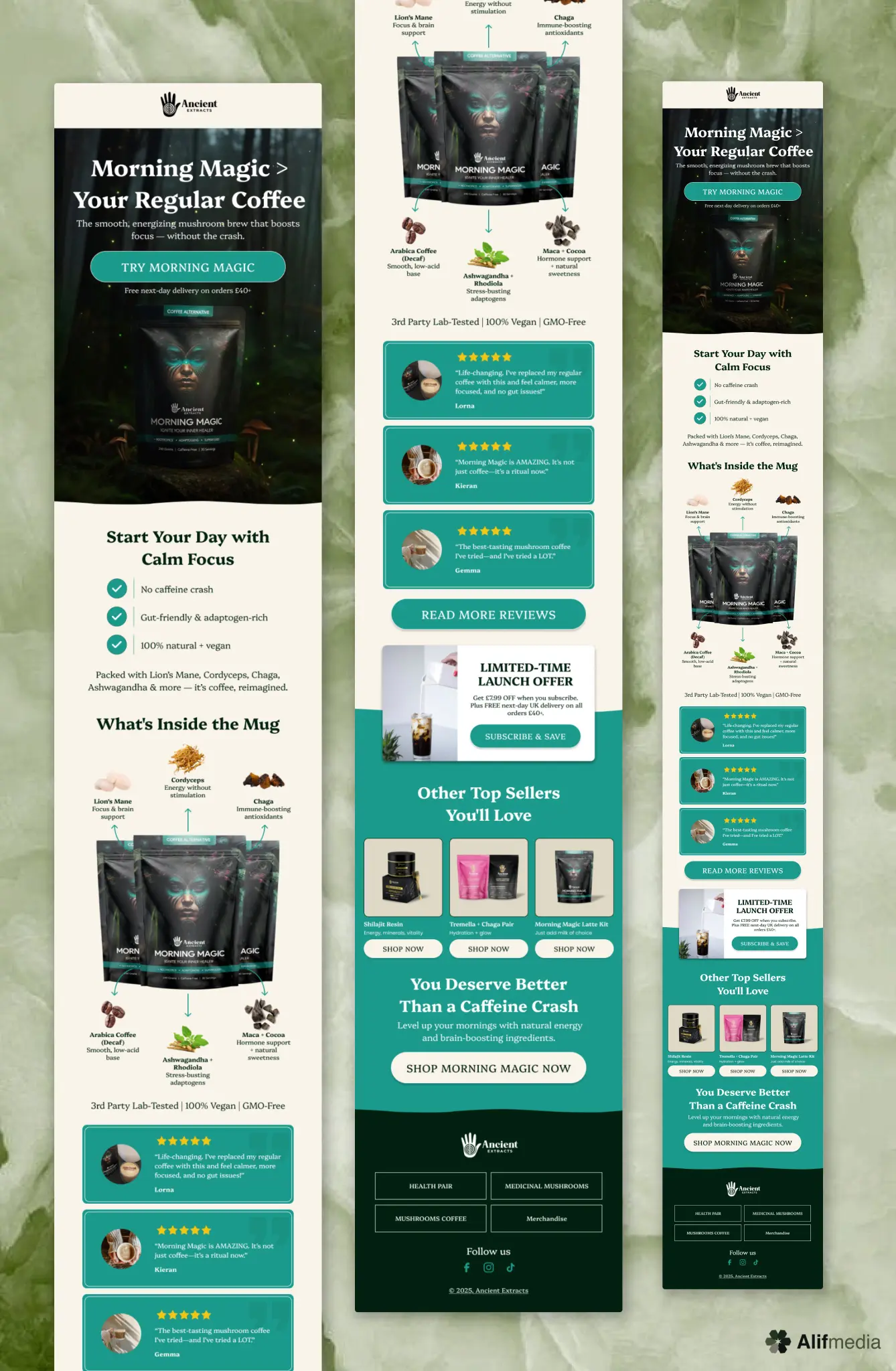 Email design example 12