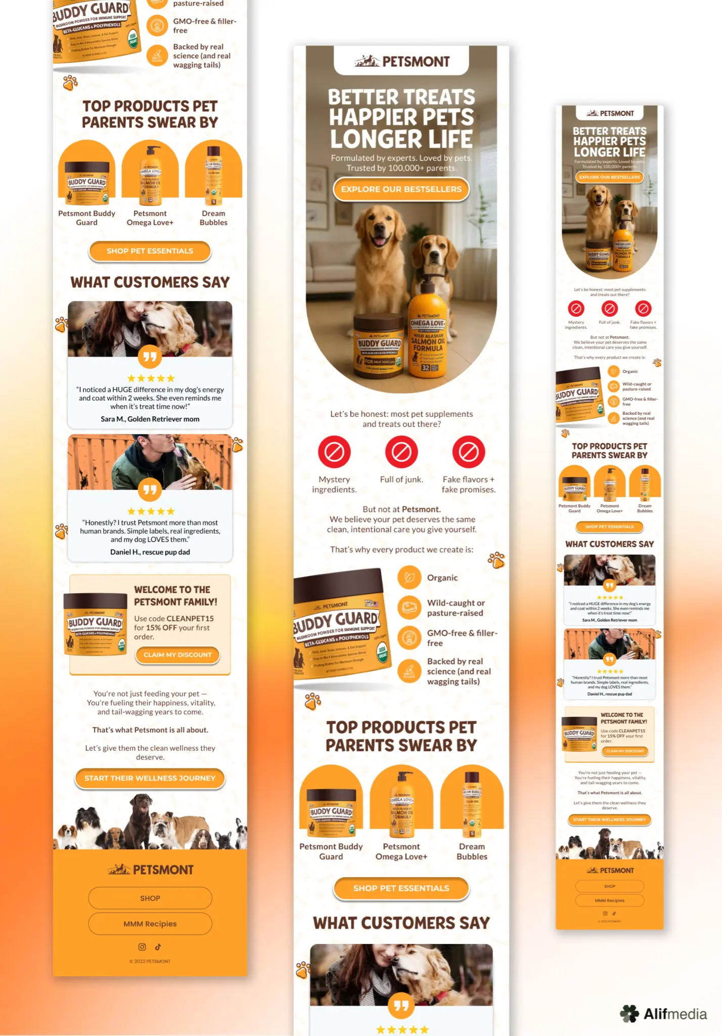 Email design example 31